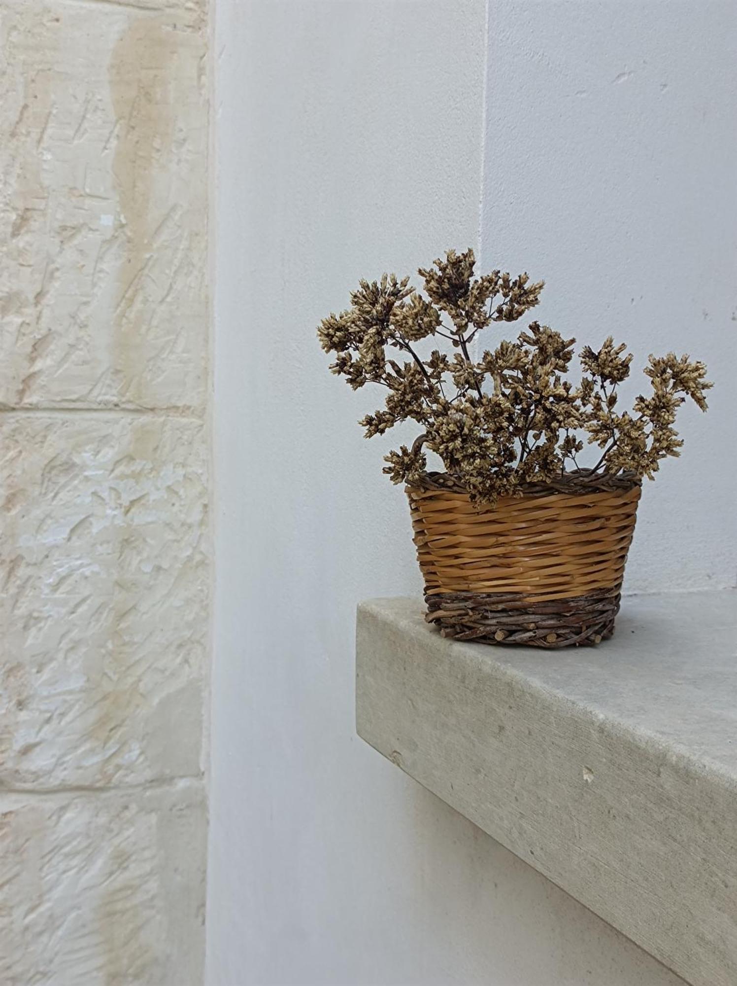 Camera Origano In Salento Martano Ngoại thất bức ảnh